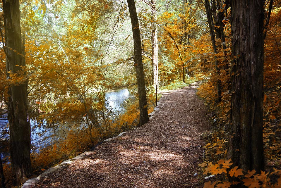 Trails_water-_autumn