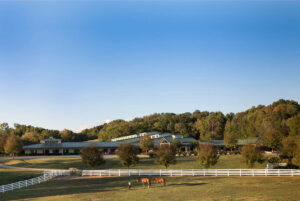 Jaeckle Centre